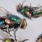 Las moscas que anuncian la muerte: la ciencia sofistica el uso de insectos para resolver crímenes más complejos