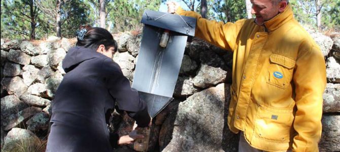 Evaluación de riesgo y toma de decisiones sobre el potencial de infestación de plagas forestales en la provincia de Córdoba